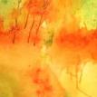 Citrus Melon Mingle
