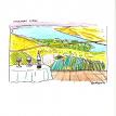 Vineyard View